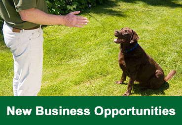 New Business